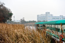 기파랑 > 화성 안석낚시터 : 낚시사랑