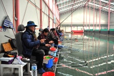 강호지락 > 옥천 향수 사계절낚시터 : 낚시사랑