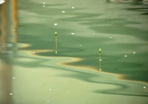 강호지락 > 옥천 향수 사계절낚시터 : 낚시사랑