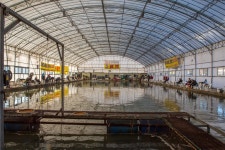 예담2 > 강화바다낚시터 : 낚시사랑