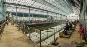 예담2 > 김포시 이화낚시터 : 낚시사랑