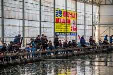 예담2 > 화성시 궁평 바다 하우스 개장 이야기. : 낚시사랑