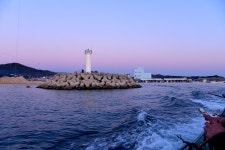 강호지락 > 겨울 선상 생활낚시 어구가자미 시즌... : 낚시사랑