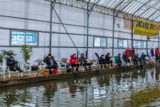 예담2 > 간절기도 낚시는 멈추지 않는 다~~ 강화바다낚시터 : 낚시사랑