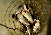 강호지락 > 용인 사암지 : 낚시사랑