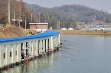 강호지락 > 남전 낚시터 : 낚시사랑