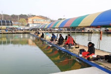 붕어도인 > 화성 고잔낚시터 : 낚시사랑