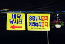 강호 지락 > 향수 사계절낚시터 : 낚시사랑