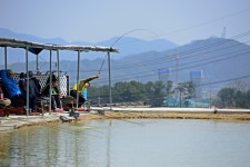 강호 지락 > 향수 사계절낚시터 : 낚시사랑