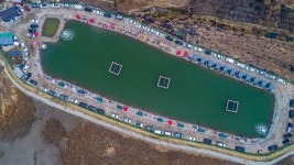 예담2 > 선두바다낚시터-강화 봄 바다 그 싱그러움 속으로~~ : 낚시사랑