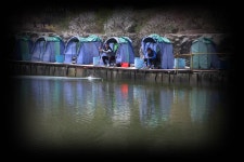 붕어도인 > 용인 상덕낚시터 : 낚시사랑