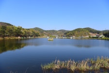 강호 지락 > 당진 항곡지 : 낚시사랑