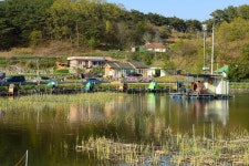 강호 지락 > 당진 항곡지 : 낚시사랑