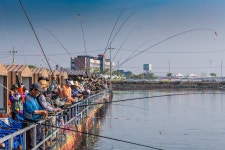 예담2 > 황산초지바다낚시터 개장 이야기~ : 낚시사랑