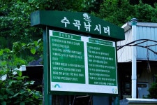 붕어도인 > 양평 수곡지 : 낚시사랑