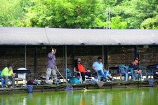 강호지락 > 고양 봉림낚시터 : 낚시사랑