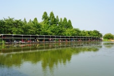 강호지락 > 당골낚시터 : 낚시사랑