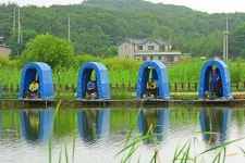 강호지락 > 내동낚시터 : 낚시사랑