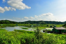 강호지락 > 고삼지 돌배좌대 : 낚시사랑