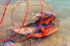 예담2 > 낚시가 문화를 문화는 사람을 바꾼다~ 선재낚시공원 : 낚시사랑