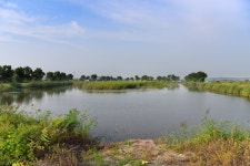 강호지락 > 화성 노진낚시터 : 낚시사랑