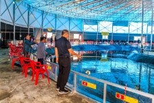 예담2 > 국내 최대 바다 하우스 자유로 낚시터 개장 소식 : 낚시사랑