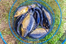 예담2 > 원주 고산낚시터 : 낚시사랑