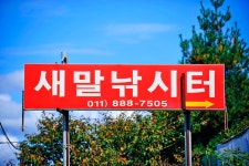 낚시사랑 > 남양주 새말낚시터 : 낚시사랑