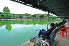 낚시사랑 > 남양주 새말낚시터 : 낚시사랑