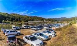 예담2 > 가을을 낚는 안성시장배 낚시대회 이야기 : 낚시사랑