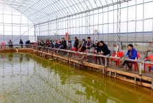 강호지락 > 인천 소래 바다 낚시터 : 낚시사랑