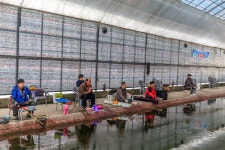 예담2 > 안성시 농촌지 낚시터 : 낚시사랑