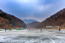 예담2 > 파주 직천 낚시터 : 낚시사랑