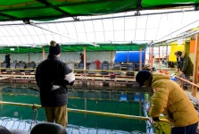 강호지락 > 바다좌대 메카 남용호 : 낚시사랑