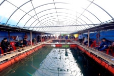 강호지락 > 바다좌대 메카 남용호 : 낚시사랑