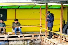 강호지락 > 바다좌대 메카 남용호 : 낚시사랑