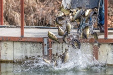 예담2 > 동교낚시터 : 낚시사랑