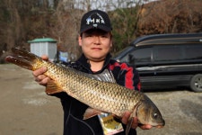 붕어도인 > 화성 고잔낚시터 : 낚시사랑