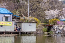 예담2 > 아산 신수낚시터 : 낚시사랑