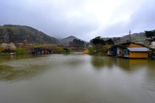 강호지락 > 개나리 낚시공원 : 낚시사랑