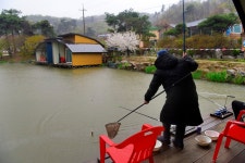 강호지락 > 개나리 낚시공원 : 낚시사랑
