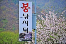 낚시사랑 > 음성 봉낚시터 : 낚시사랑