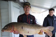 붕어도인 > 음성 차평낚시터 : 낚시사랑