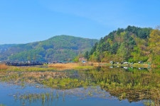 낚시사랑 > 춘천 강촌낚시터 : 낚시사랑