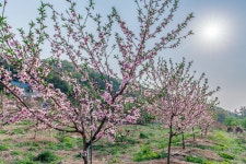 예담2 > 이무기 낚시터 : 낚시사랑