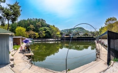 예담2 > 파주 임진리 낚시터 : 낚시사랑