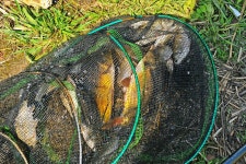 낚시사랑 > 안성 두메낚시터 : 낚시사랑