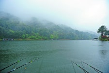 낚시사랑 > 포천 깊이울낚시터 : 낚시사랑