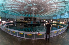 예담2 > 자유로 낚시터 : 낚시사랑