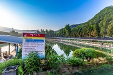예담2 > 양주 삼하 낚시터 : 낚시사랑